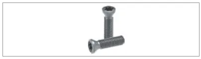 [SM00470] M4 x 9 x 5 Vida - 9528