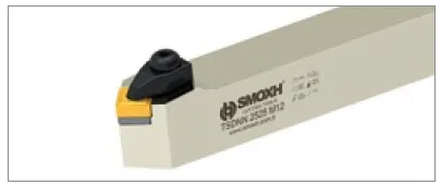 [SM00568] TSDNN 2020 K12